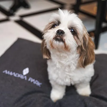 Hotel Amadria Park Agava