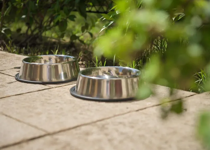 Amadria Park Agava Οπατία