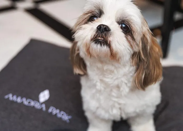 Hotel Amadria Park Agava